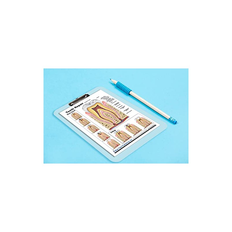 Blue Tree Publishing Tooth Repair chart with clipboard, two sided