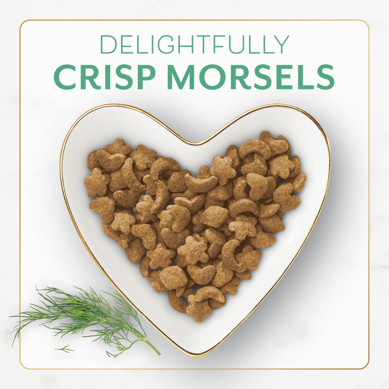 Purina Fancy Feast Dry Cat Food with Ocean Fish and