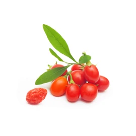 GOJI (Lycium barbarum) * Concentrated extract * 100% natural * Titrated to 50% polysaccharides * 375mg / 120 vegetable capsules * Youth and vitality * Quality control by certificate of analysis *
