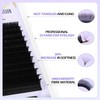 Arison Lashes Easy Fan Lashes, 0.05 D Curl, 9-16 Mix