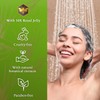 Tio Nacho Shampoo Anti-Damage Royal Jelly + Organic Aloe Vera,