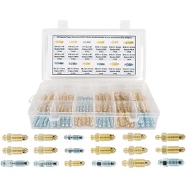 Dsnaduo 12 Types Brake Bleeder Screws,Bleeder Valve,Bleeders, Caliper Bleeder Screw, Fit for Ford,Dodge,Chrysler,Toyota,90-Pieces SAE & Metric Bleeding Screws Bleed Kit