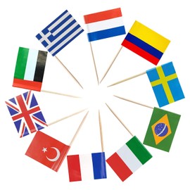 YXHZVON 100Pcs Euro Football Toothpick Flags, Different Nations Cocktail Stick Flags Food Flags - Party Decoration Cocktail Fruit Stick Cupcakes Toppers