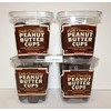Trader Joe Dark Chocolate Peanut Butter Cups Container 16oz 454g
