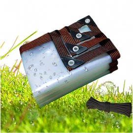 Tarpaulin Waterproof, 2 x 2 m Tarpaulin Transparent with Eyelets, Clear PE Fabric Tarpaulin Tear-Resistant, Protective Tarpaulin for Garden Furniture Car Gazebo Patio Greenhouse