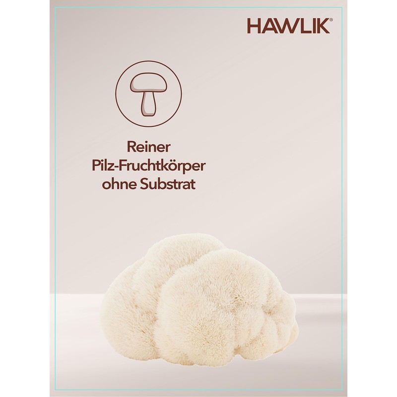 HAWLIK Vitalpilze Bio Hericium Extrakt + Pulver Kapseln - 60