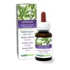 Common Mugwort (Artemisia vulgaris) herb with Flowers Alcohol-Free Mother Tincture