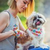 E-Clover Easter Dog Bandana & Matching Scrunchie Set Egg Dog