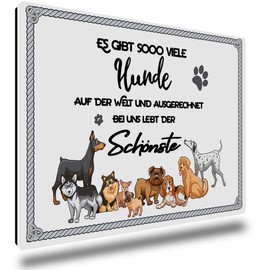 TRIOSK Fridge Magnet Strong Dog Funny with Saying "Es gibt so viele Hunde Magnet" Sayings Dog Motif Gift for Dog Owners Dog Lovers
