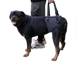 Dog Lift Harness for Dogs with Disabled Arthritis and Weak Back Legs, humanized Design with Comfortable Materials, Adjustable Back Legs and Straps, Suitable for Helping Dogs to Recover and Walk. (XL)