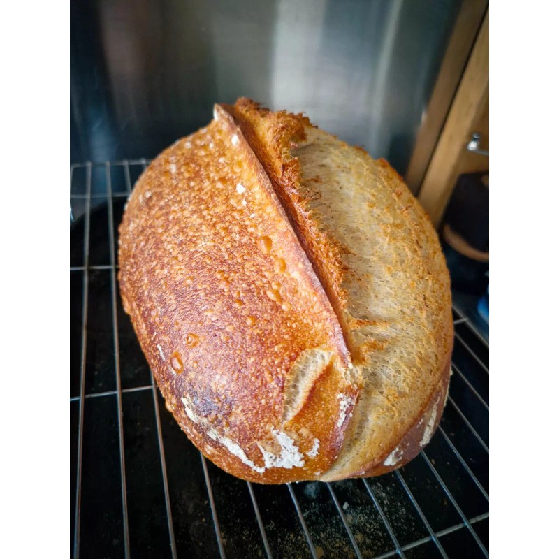 Heritage Sour SAN FRANCISCO SOURDOUGH STARTER DEHYDRATED ACTIVE STRONG SOUR