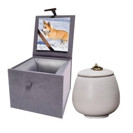 Ceramic Pet Urn for Ashes, Dog Urn Cat Urn Handicrafted Ashes Keepsake Memorial Gift, Ashes Holder with Photo Display Box (Matte White, M Size)
