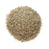 SpiceJungle Thyme - 16 oz.