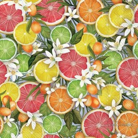 IHR Ideal Home Range Party Napkins Disposable 3-Ply Paper Lunch Napkin Pack, 6.5" x 6.5", Mediterranean Citrus, 20-Count