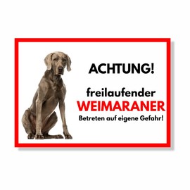 Weimaraner Freilaufender Hund Dog Sign Saying Door Sign Dog Sign Warning Sign Gift Idea Safety Sign Dog Private Property Dog Warning Warning