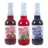 Time For Treats 3-Pack Cherry, Blue Raspberry, Watermelon Syrup for
