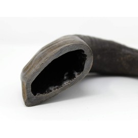 peaksNpaws Premium Water Buffalo Horns for Dogs - Free Range and Grass Fed - High in Protein, Low in Fat