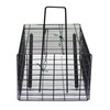 Takagi Mouse Trap Basket, Square, Small, Black