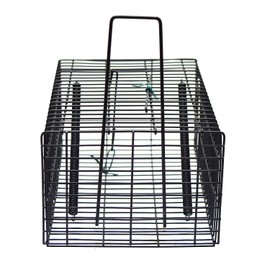 Takagi Mouse Trap Basket, Square, Small, Black