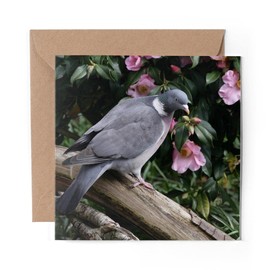 1 x Greeting Card Pretty Wood Pigeon Bird Garden Flowers - Blank Birthday Celebration Anniversary #46210