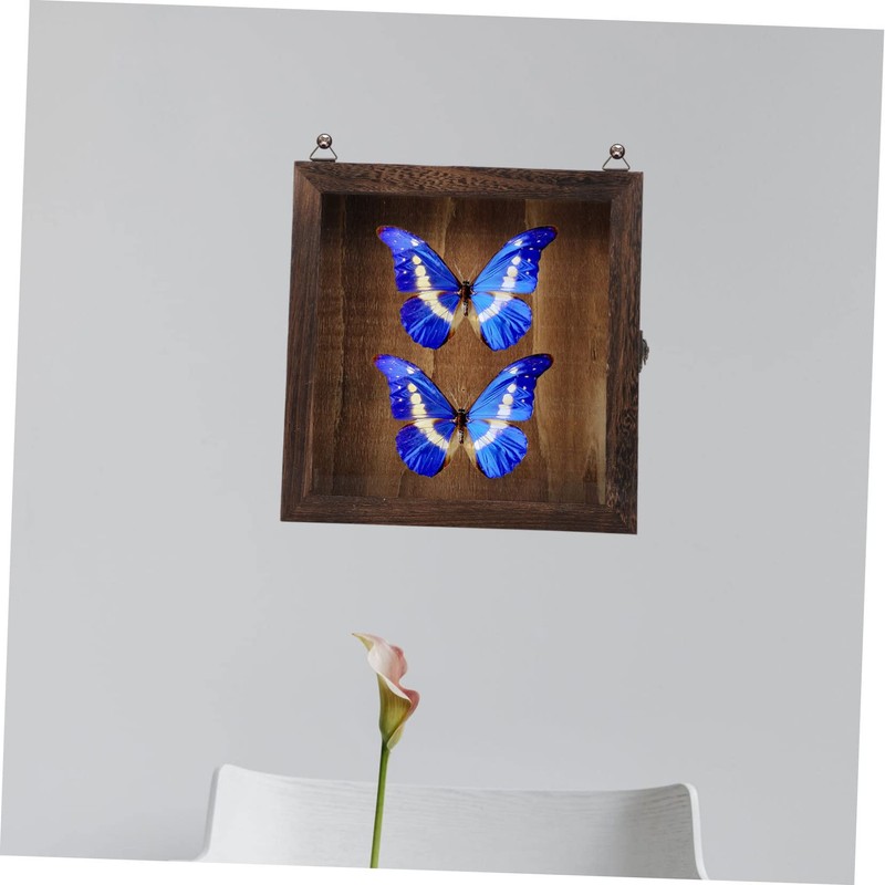 Alipis Wooden Frame Shadow Box Vintage Specimen Display Butterflies Specimen