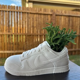 Sneakers Shoes Dunks Planter Pot 3D Printed - Pen Holder & Pencil Holders- Plant Pot for Indoor Plants -Unique planter for indoor with Drainage hole - MADE IN USA