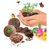 Clementoni - Science Seeds Bombs - Play for Future Scientific