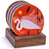Charley Harper Feathered Friends Absorbent Stone Coaster Set