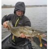 K.P Baits Pike Shad Pike XXL Rubber Fish Swimbait 9
