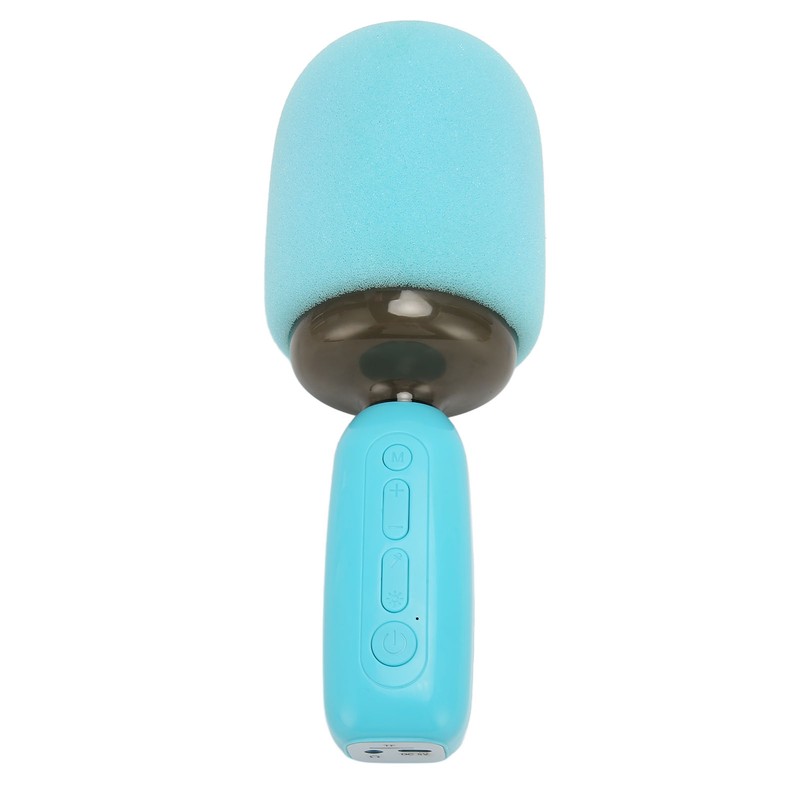 Handheld Karaoke Mic with RGB Light Support Memory Card Portable