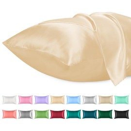 Lirex Satin Cushion Cover, Pack of 2, Soft Solid Colour Microfibre Silk Cushion Cover, Envelope Closure, Wrinkle-Free, Fade Resistant, Breathable (Champagne, 40 x 80 cm)