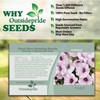 Outsidepride 30 Seeds Annual Petunia Shock Wave Spreading Pink Vein