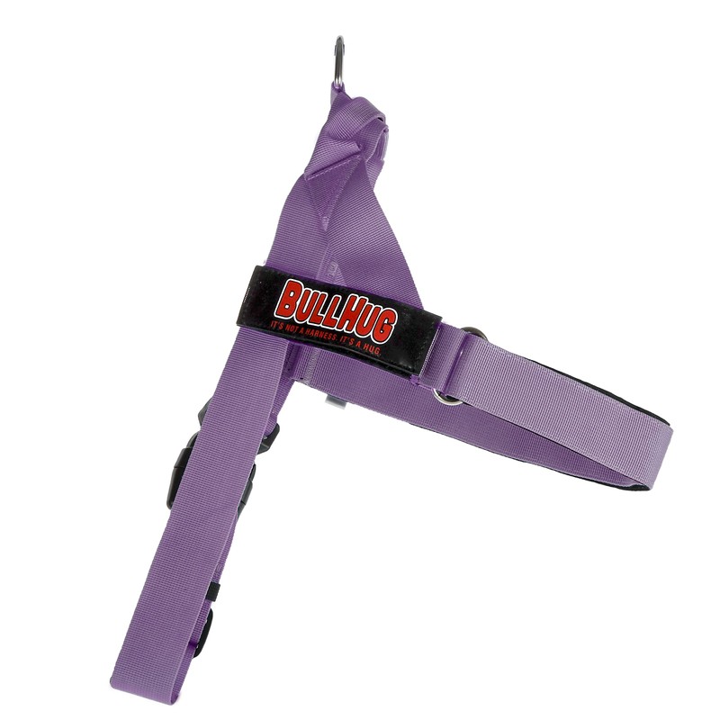 BULLHUG Harness – Made for Larger Chested Dogs Like English