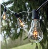 Hometown Evolution, Inc. Vintage Edison Outdoor String Lights (PS50 Clear