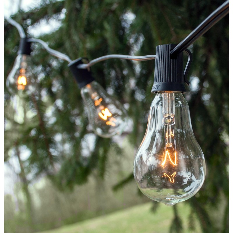 Hometown Evolution, Inc. Vintage Edison Outdoor String Lights (PS50 Clear