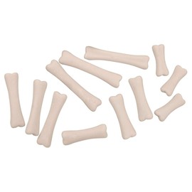 Yellow Door YUS1038 Dinosaur Bones Discovery Set (Pack of 12),White