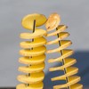 Potato Slicer Spiral Cutter, Tornado Potato Slicer, Twisted Potato Slicer,