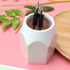 COHEALI 3pcs Fashion-Forward Pencil Pot Makeup Brush Holder Compact Pencil