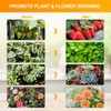FECiDA Grow Lights with Stand and Timer, Tripod Standing Grow