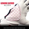 Franklin Sports Digitek Batting Glove Pair - USA - Adult