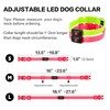 Light Up Dog Collar for Night Walking Flashing, LED Dog
