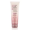 GIOVANNI 2chic Frizz Be Gone (Frizzy Hair) Shampoo 250ml