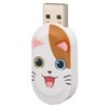 Cartoon U Disk Cute Cat Pattern Anti Electromagnetic Interference USB2.0
