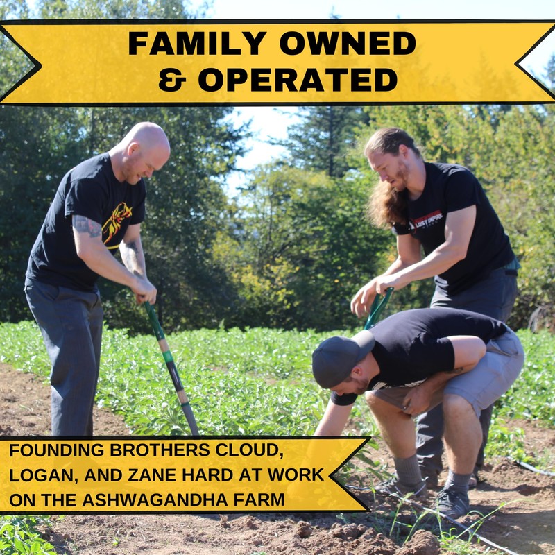 Lost Empire Herbs Pine Pollen Tincture Pine Pollen Liquid Extract