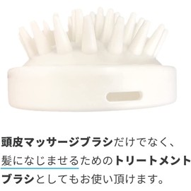 Aujua IM Imulate Shampoo 8.5 fl oz (250 ml), Birthday Gift