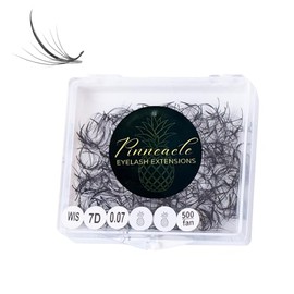 Wispy | 500 Premade Volume Fans for Wispy, Kim K, Hybrid Eyelash Extensions | Single length | 7D | 0.07 | Handmade from Vietnam | Pinneacle Lash (CC curl - 14mm (spike16mm))
