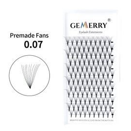 Pre Made Fan Eyelash Extensions 10D Fans 0.07mm D Curl 10mm 10D Cluster Eyelash Extension Premade Fans Volume Russian Individual Lashes Cluster Gemerry Fan Lash Extensions(0.07-10D-D curl-13mm)