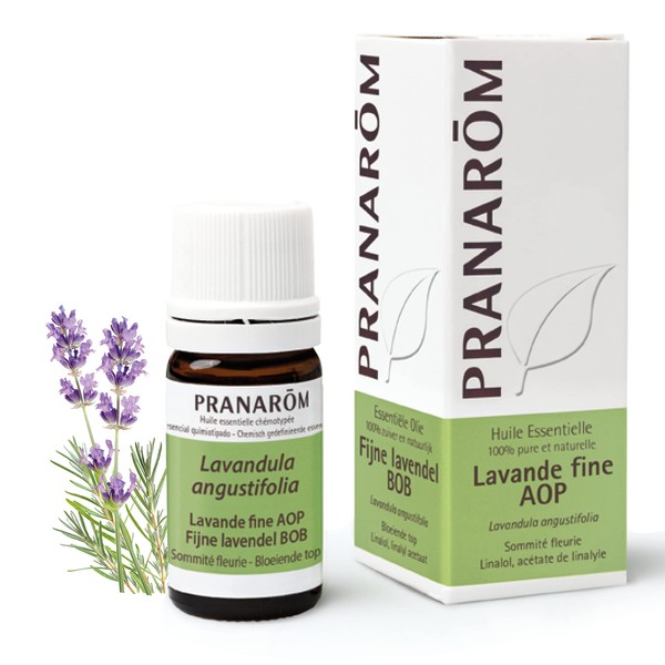 Pranarôm | Huile Essentielle Lavande Fine AOP | Lavandula angustifolia | Sommité Fleurie | HECT | 5 ml