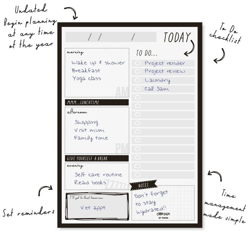 Pukka Pad, Carpe Diem Daily Desk Planner Pad with 60