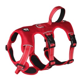 FEimaX Dog Harness No Pull Soft Padded Dog Vest with 3 Leash Clips and Easy Control Handle Reflective Adjustable No Choke Pet Harnesses for Medium and Large Dogs Training Walking (Red, Large)